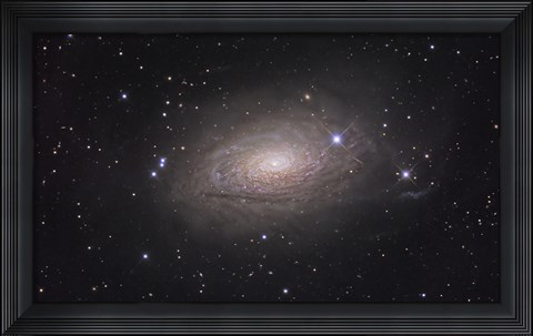 Framed Sunflower Galaxy Print