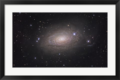 Framed Sunflower Galaxy Print