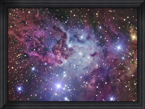 Framed Fox Fur Nebula Print