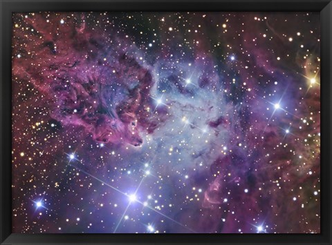 Framed Fox Fur Nebula Print