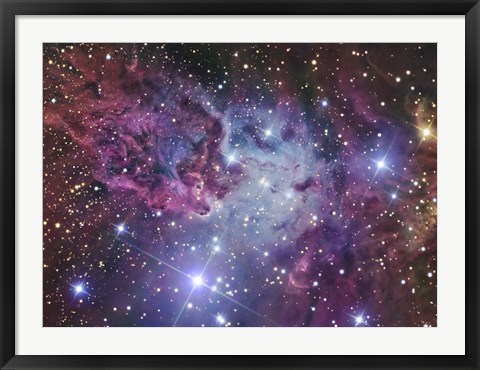 Framed Fox Fur Nebula Print