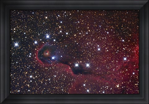 Framed Elephant Trunk Nebula Print