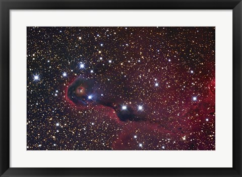 Framed Elephant Trunk Nebula Print