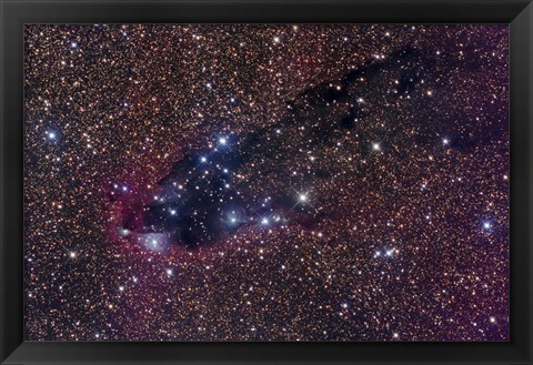 Framed Dark Tower, Cometary Globule in Scorpius Print