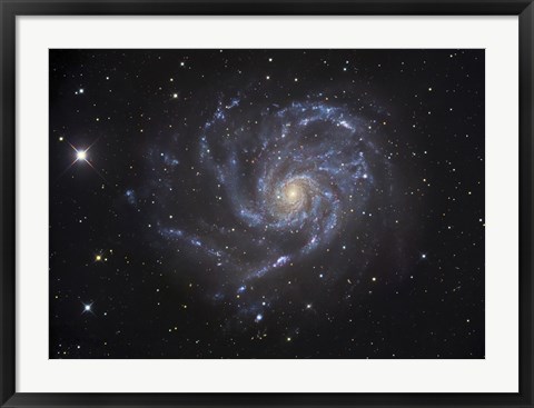 Framed Pinwheel Galaxy Print