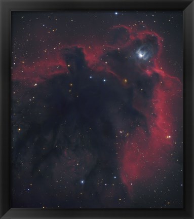 Framed Cometary Globule in Orion Print