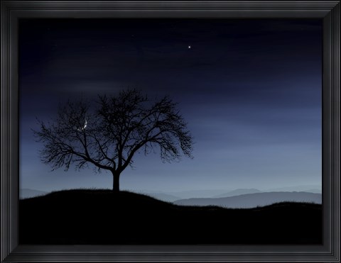 Framed Tree and the Moon Print