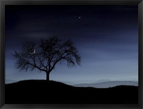 Framed Tree and the Moon Print