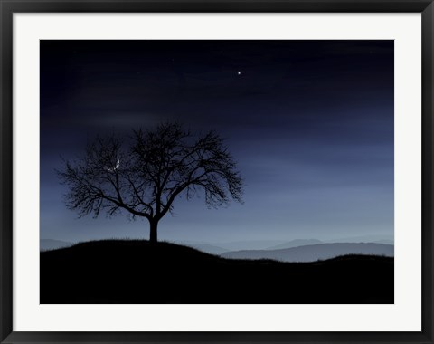 Framed Tree and the Moon Print