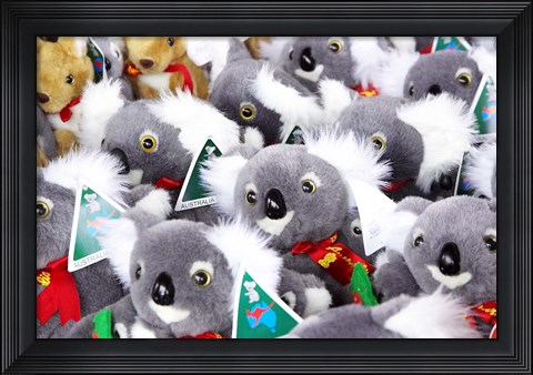 Framed Fluffy Koalas and Kangaroos, Queen Victoria Market, Melbourne, Victoria, Australia Print