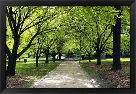 Framed Pathway and Trees, Kings Domain, Melbourne, Victoria, Australia Print