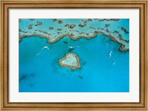 Framed Australia, Whitsunday Islands, Heart Reef Print