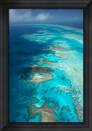 Framed Arlington Reef, Great Barrier Reef Marine Park, North Queensland, Australia Print