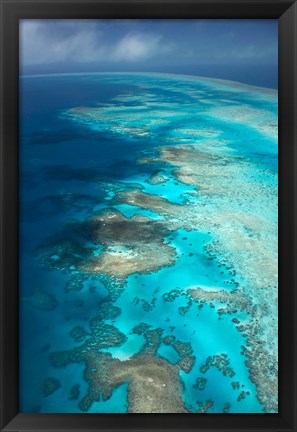 Framed Arlington Reef, Great Barrier Reef Marine Park, North Queensland, Australia Print