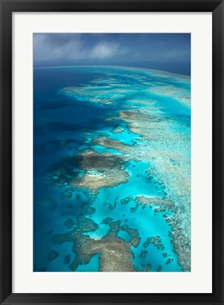 Framed Arlington Reef, Great Barrier Reef Marine Park, North Queensland, Australia Print