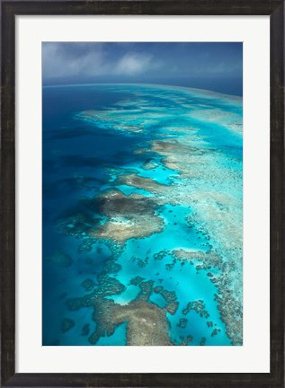Framed Arlington Reef, Great Barrier Reef Marine Park, North Queensland, Australia Print