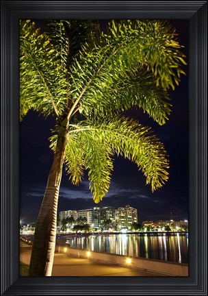 Framed Cairns, waterfront at night, North Queensland, Australia Print