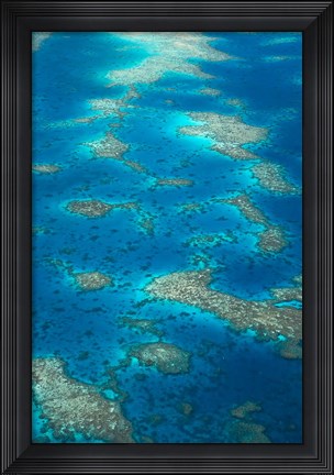 Framed Undine Reef, Great Barrier Reef, Queensland, Australia Print