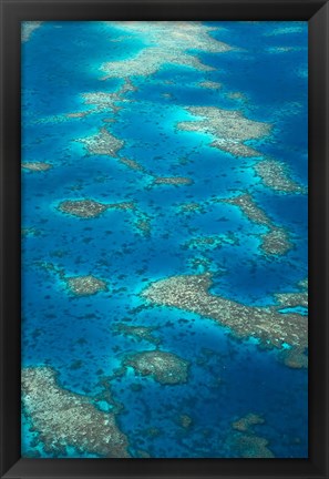 Framed Undine Reef, Great Barrier Reef, Queensland, Australia Print