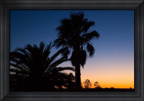 Framed Palm Trees, Sunset, Stuart Highway, Outback, Australia Print