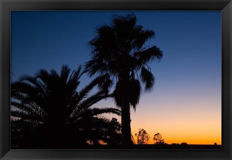 Framed Palm Trees, Sunset, Stuart Highway, Outback, Australia Print