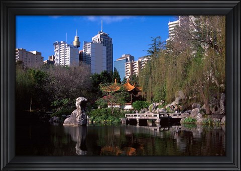 Framed Chinese Garden, Darling Harbor, Sydney, Australia Print