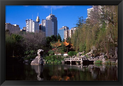 Framed Chinese Garden, Darling Harbor, Sydney, Australia Print