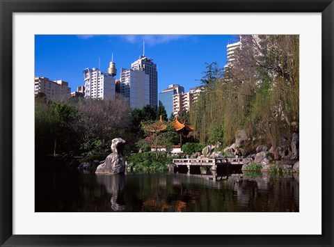 Framed Chinese Garden, Darling Harbor, Sydney, Australia Print