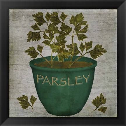 Framed Herb Parsley Print