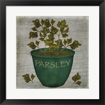 Framed Herb Parsley Print