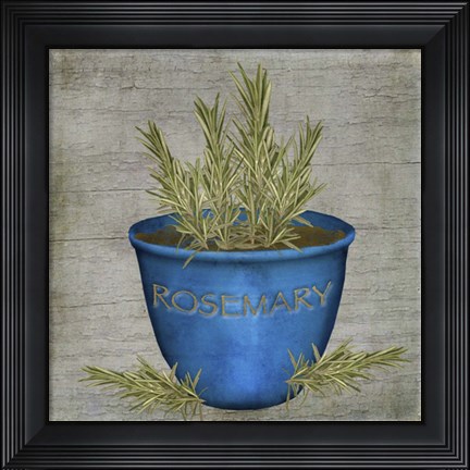 Framed Herb Rosemary Print