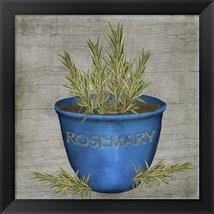 Framed Herb Rosemary Print