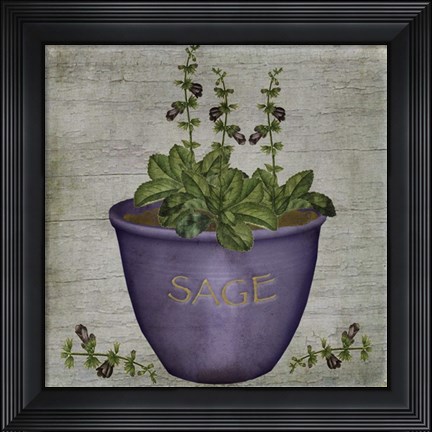 Framed Herb Sage Print