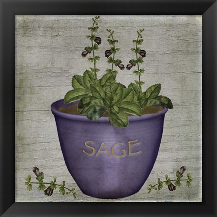 Framed Herb Sage Print