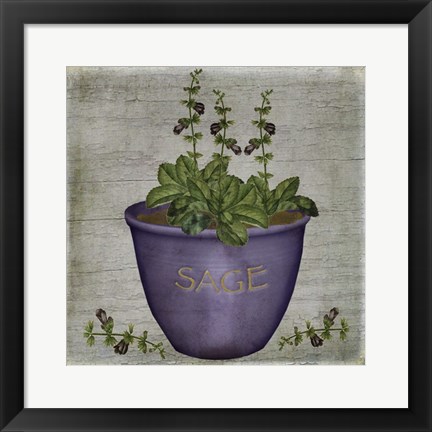 Framed Herb Sage Print