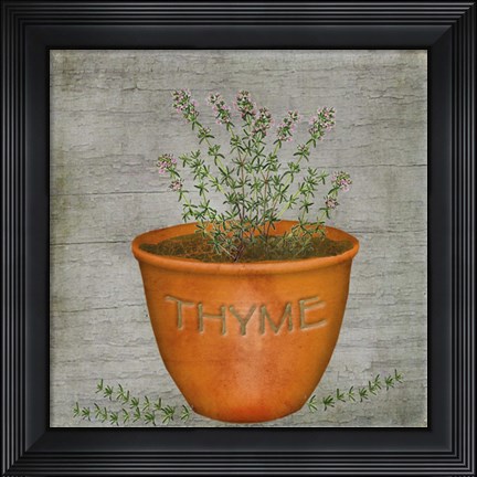 Framed Herb Thyme Print