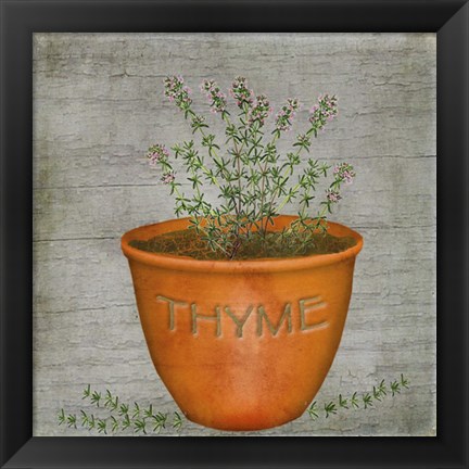 Framed Herb Thyme Print