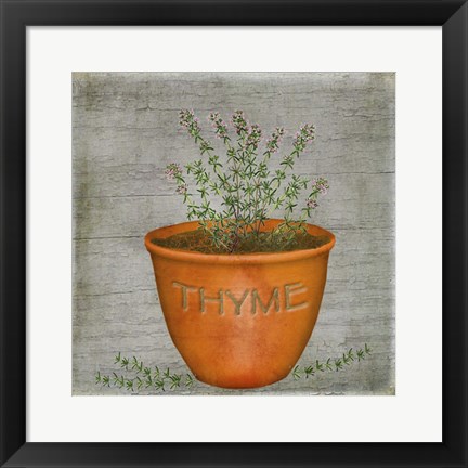 Framed Herb Thyme Print