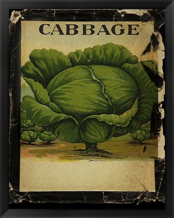 Framed Vintage Cabbage Print