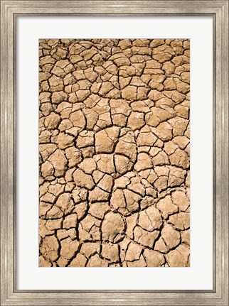 Framed Dry Irrigation Pond, Strzelecki Track, Outback, South Australia, Australia Print