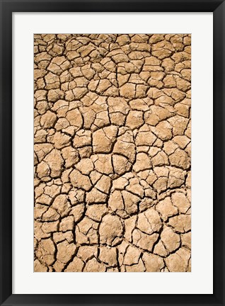 Framed Dry Irrigation Pond, Strzelecki Track, Outback, South Australia, Australia Print