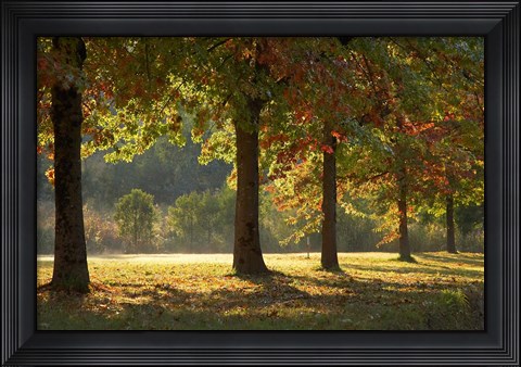 Framed Australia, New South Wales, Khancoban, Autumn Print