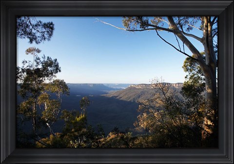 Framed Australia, NSW, Blue Mountains, Jamison Valley Print