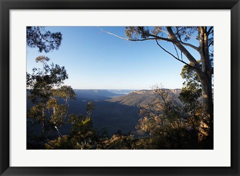 Framed Australia, NSW, Blue Mountains, Jamison Valley Print