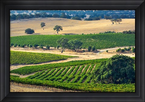Framed Mountadam vineyard winery on High Eden Road, Barossa Valley, Australia Print