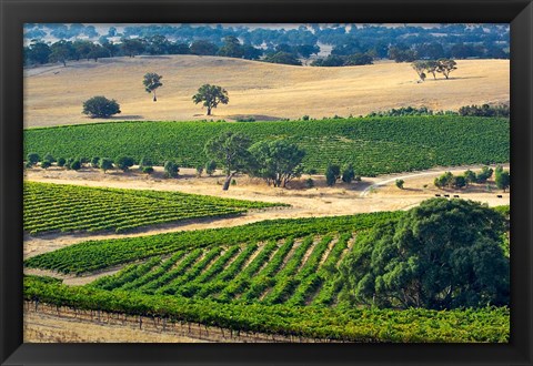 Framed Mountadam vineyard winery on High Eden Road, Barossa Valley, Australia Print