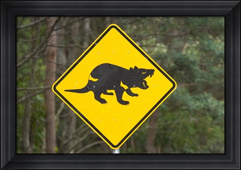 Framed Tasmanian Devil warning sign, Tasman Peninsula, Australia Print
