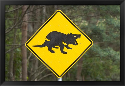 Framed Tasmanian Devil warning sign, Tasman Peninsula, Australia Print