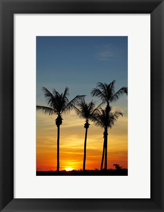 Framed Beach, Palm trees, Mindil Beach, Darwin, Australia Print
