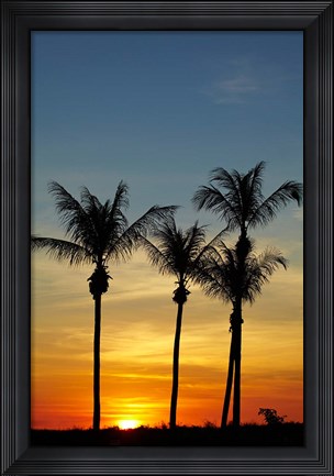Framed Beach, Palm trees, Mindil Beach, Darwin, Australia Print